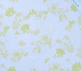 Sky white/lime printed silk organza